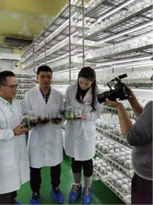 國坤堂鐵皮石斛榮獲國家農產品地理標志保護產品